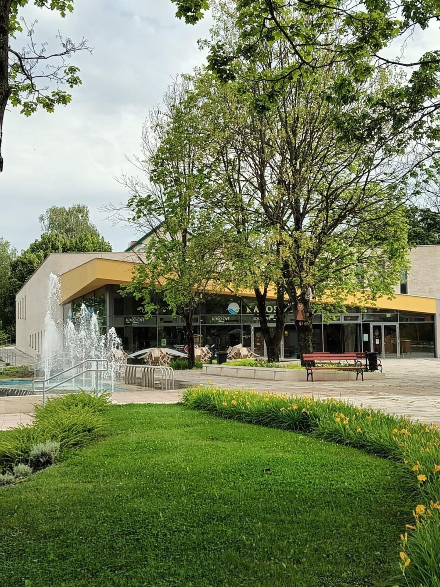 Viola Wellness Apartman Apartment Zalakaros Bagian luar foto